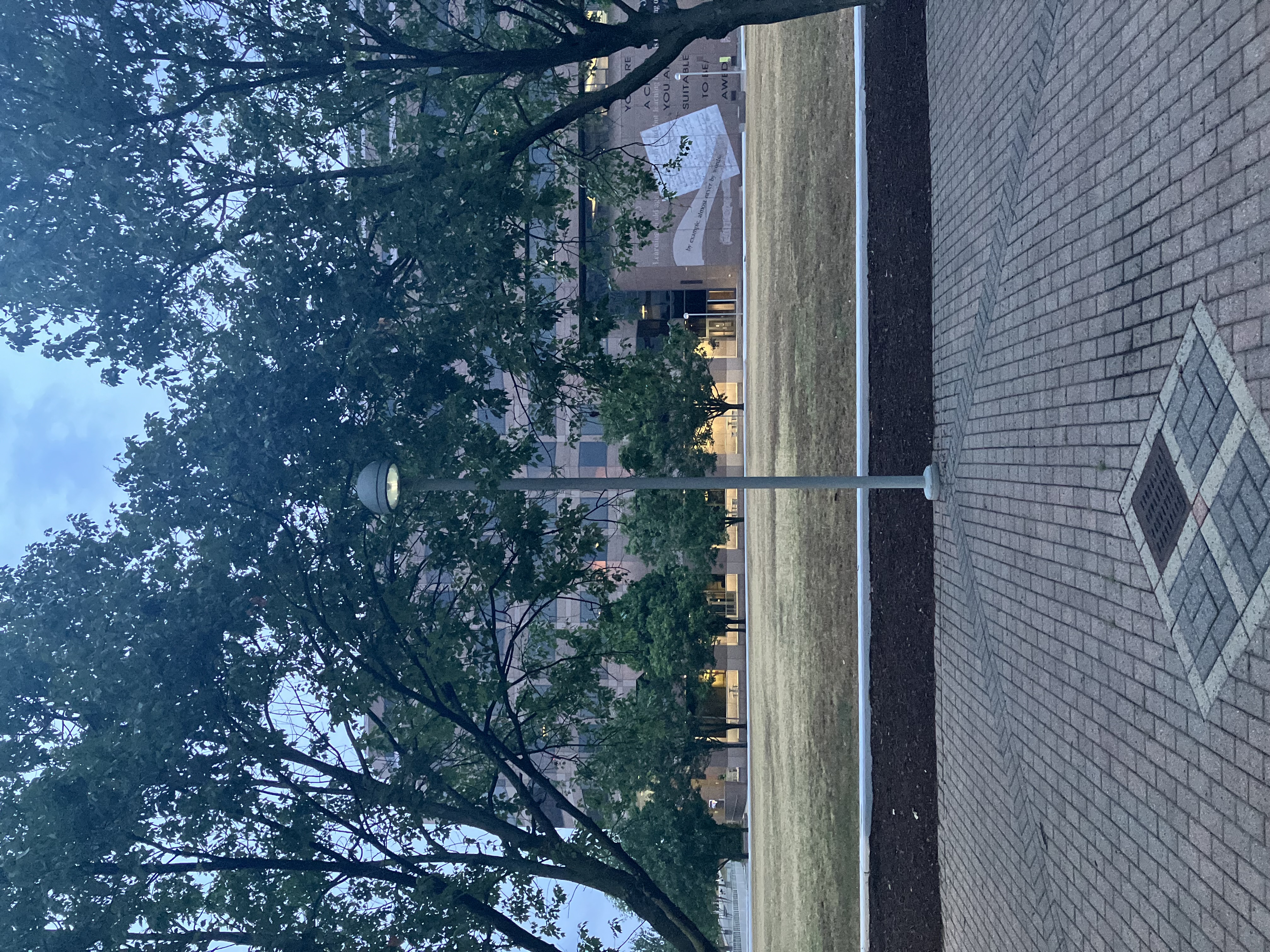 The persistent street lamp off